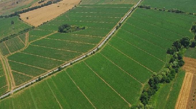 Kocaeli Büyükşehir'den çiftçilere tohum desteği