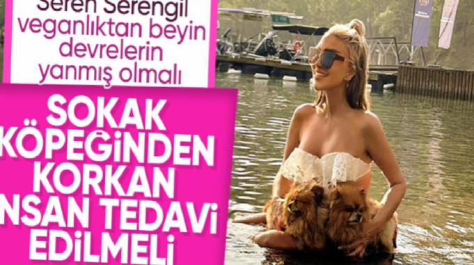 Seren Serengil&#039;den sokak köpeği savunması: Korkan insan tedavi olsun