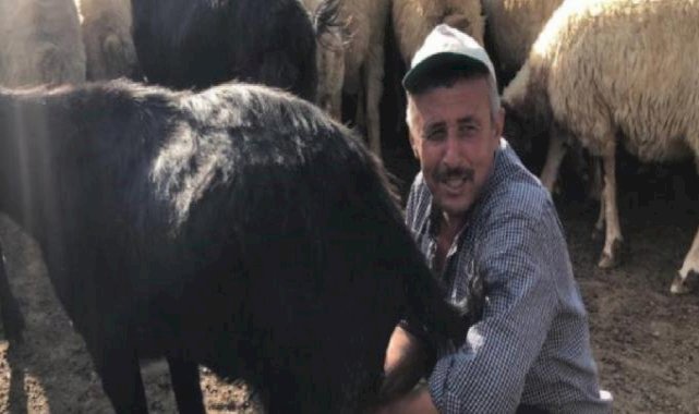 Adana'da 20 bin liraya çoban bulunmuyor: Bu dağların son temsilcisiyiz
