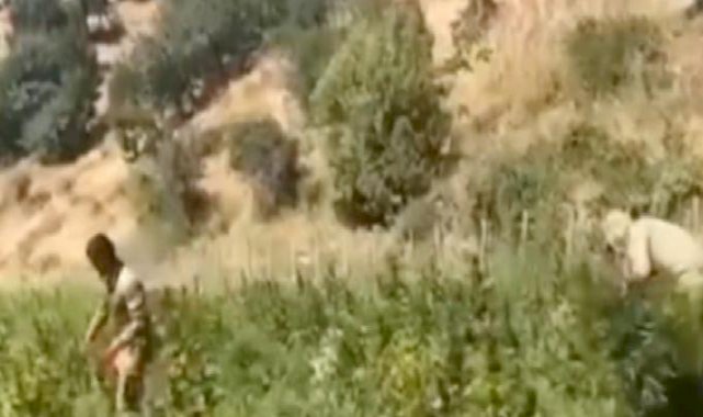 Ali Yerlikaya: Terör örgütüne 36,4 milyar TL yasa dışı gelir engellendi