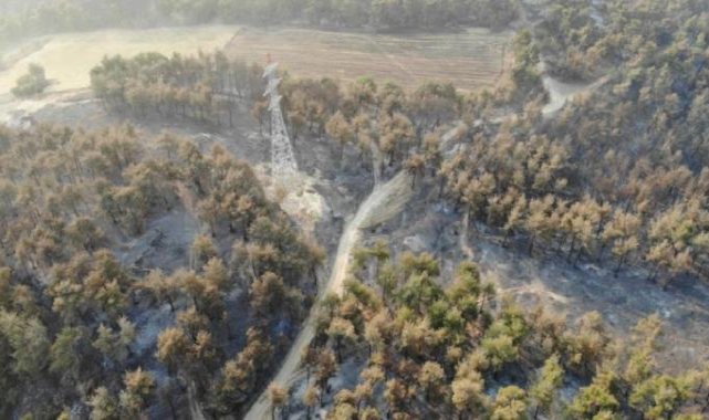 Çanakkale'deki yangında üçüncü gün: Havadan görüntülendi