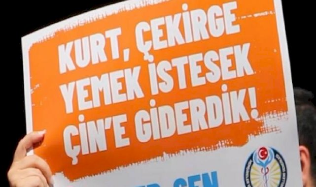 HEP-SEN Uyardı : “Soğuk ve Tuzsuz Yemekler, Kanserojen Tabaklarla Servis Ediliyor”