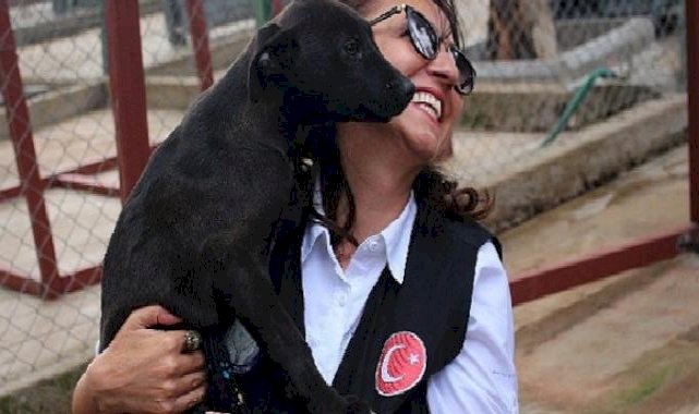 Karşıyaka Belediyesi, can dostlara huzurlu bir hayat sunuyor