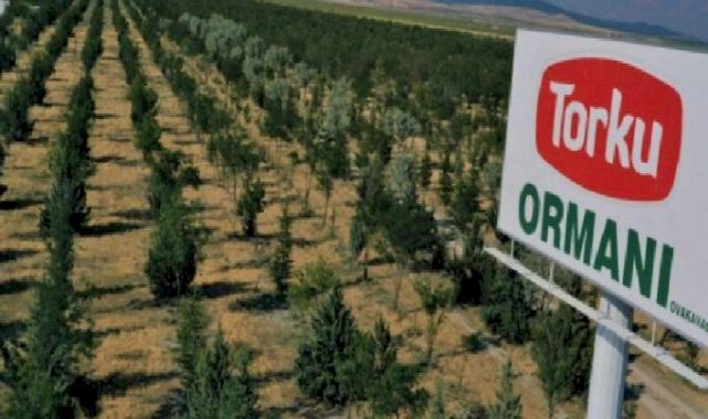 Konya Şeker'den 'ağaç' açıklaması