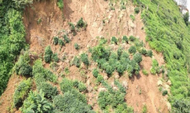 Rize'de kontrolsüz ağaç kesimi toprak kaymasına davetiye çıkartıyor