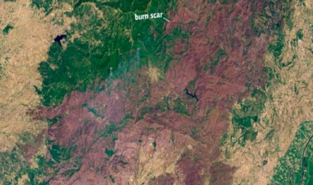 Yunanistan'da durdurulamayan orman yangını: AB tarihinin en büyüğü