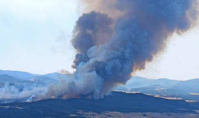 Türkiye orman yangını felaketiyle mücadele ediyor: Alevler şimdi de Eskişehir'de!