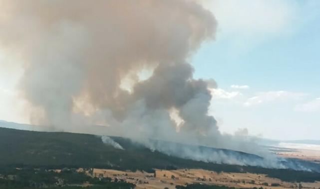 Türkiye orman yangını felaketiyle mücadele ediyor: Alevler şimdi de Eskişehir'de!