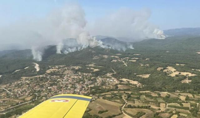 Yunanistan'da durdurulamayan orman yangını: AB tarihinin en büyüğü