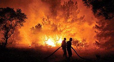 Yunanistan'daki yangın nedeniyle İpsala'dan geçemeyenler Pazarkule'ye yöneldi