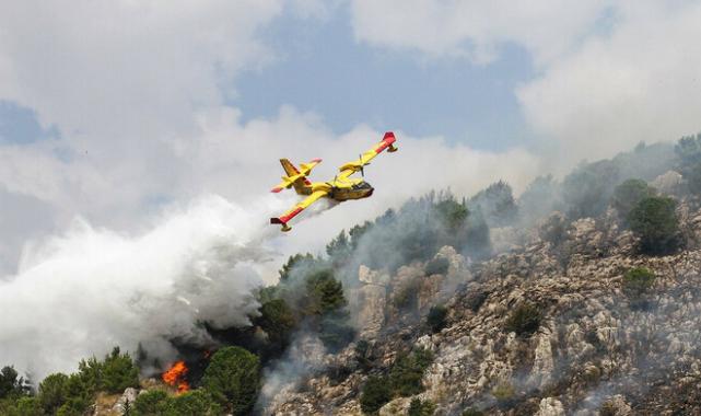 Yüzde 40 başarı oranı var! Yapay zeka, orman yangınlarına karşı eğitiliyor