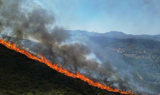Yüzde 40 başarı oranı var! Yapay zeka, orman yangınlarına karşı eğitiliyor