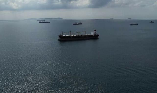 ABD, Türkiye'ye tahıl girişimi çabalarından dolayı teşekkür etti