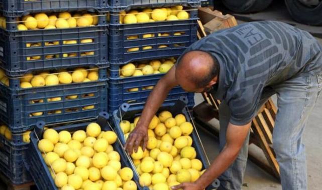 Adana'da bahçede kilosu 3 lira olan limon markette 24 liraya satılıyor