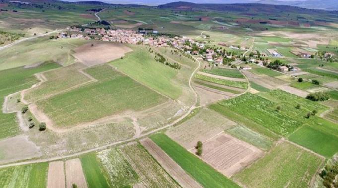 Ankara, İzmir ve Zonguldak'taki bazı alanlar için 'orman sınırı' kararı