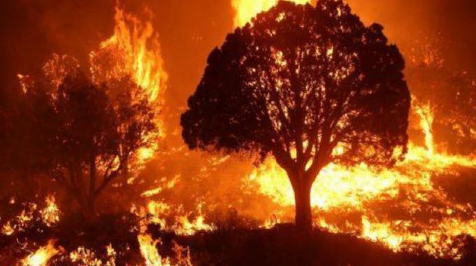 Aşırı sıcaklık, sel ve yangın! 2023 yazı yeni normal miydi