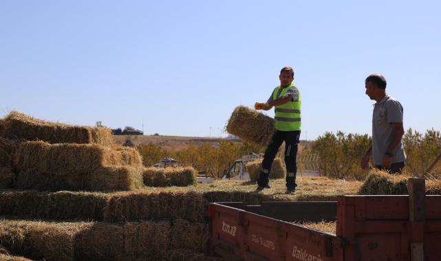 Eskişehir'den üreticilere yonca balyası desteği