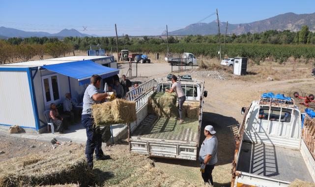 Eskişehir'den üreticilere yonca balyası desteği