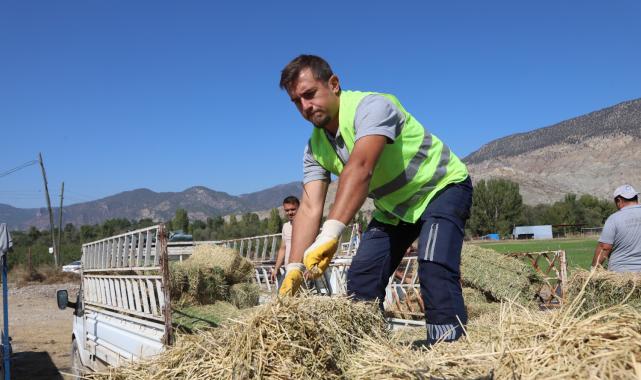 Eskişehir'den üreticilere yonca balyası desteği