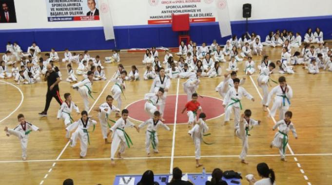 Gölcük&#039;te taekwondo sporcuları kuşak atladı