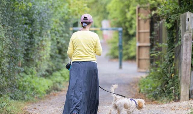 İngiltere'nin köpek sorununa çözümü: Sahiplenilmeyenler uyutuluyor