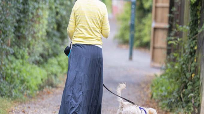 İngiltere&#039;nin köpek sorununa çözümü: Sahiplenilmeyenler uyutuluyor