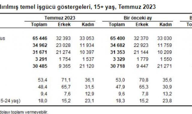 İşgücü İstatistikleri, Temmuz 2023