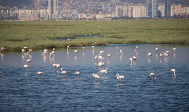 İzmir, Gediz Deltası projesiyle Ufuk Avrupa Programı’nı kazandı