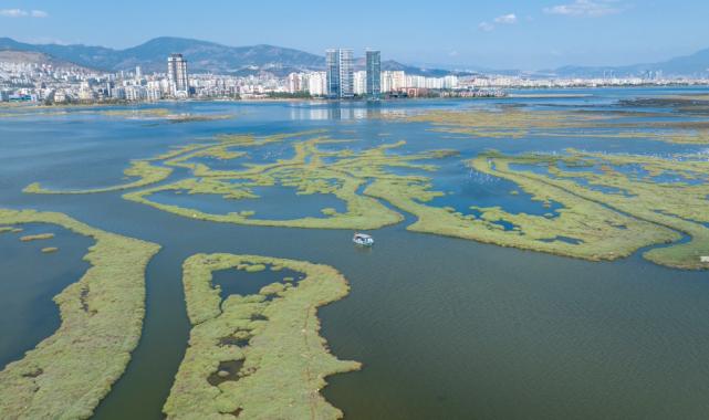 İzmir, Gediz Deltası projesiyle Ufuk Avrupa Programı’nı kazandı