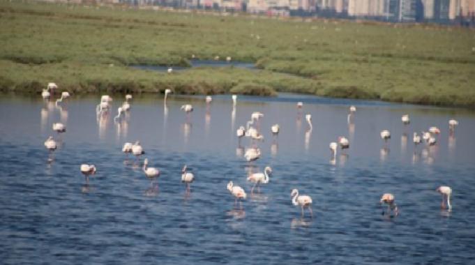 İzmir, Gediz Deltası projesiyle Ufuk Avrupa Programı’nı kazandı