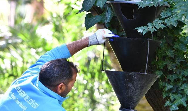İzmir’in palmiyeleri için alarm sistemi