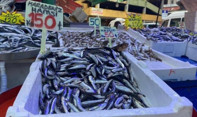 Karadeniz’de aşırı avcılık hamsiyi tehlikeye attı