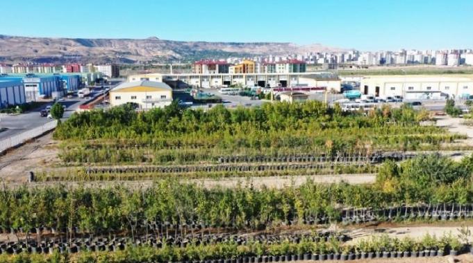 Kayseri Kocasinan 'yeşil' rekor kıracak