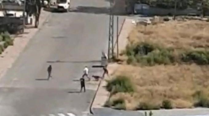 Kayseri'de köpeğin saldırdığı genci kurtaran yaşlı kadın konuştu