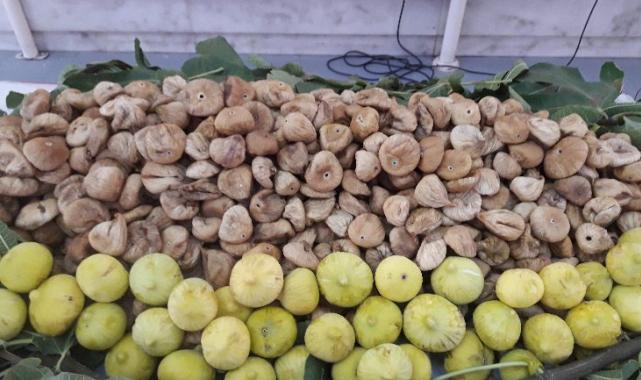 Kuru meyve sektörüne 3 güçlü pazar