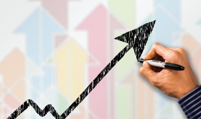 Mali aracı kuruluş istatistikleri, 2022