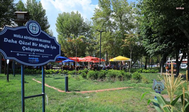 Muğla'da yeşil alanlar arıtılmış su ile sulanıyor