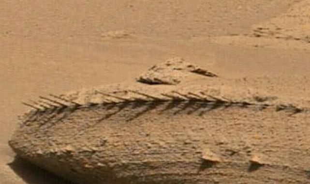 NASA'nın Perseverance gezgini Mars'ta  gizemli kayalar tespit etti