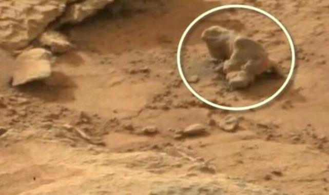 NASA'nın Perseverance gezgini Mars'ta  gizemli kayalar tespit etti