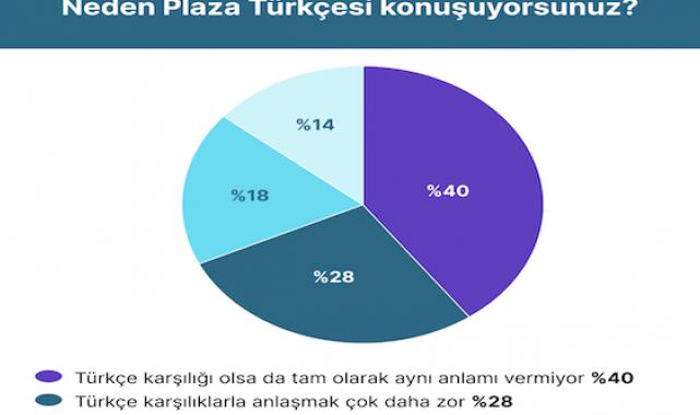 Preply’den kapsamlı Plaza Türkçesi Araştırması