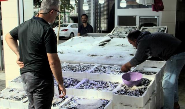 Sinop'ta hamsinin kilogramı 50 liraya geriledi