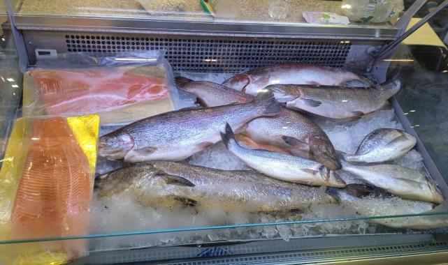 Su ürünlerinde Uzakdoğu ve Güneydoğu Asya’nın anahtarı: Singapur