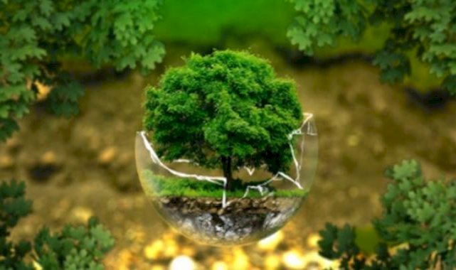 Bakan Özhaseki: "Sıfır atık projemiz her geçen gün daha da büyüyor"