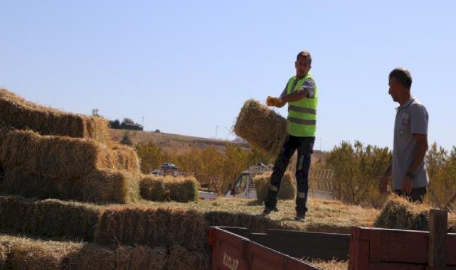 Eskişehir'den üreticilere yonca balyası desteği