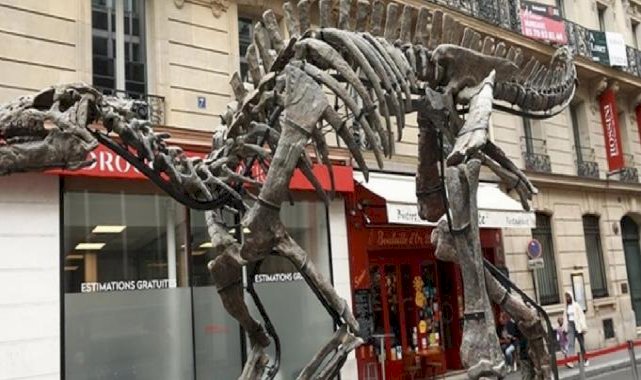 Fransa'da 150 milyon yıllık dinozor iskeleti açık artırmayla satılacak