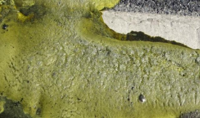 İstanbul'da yola bırakılan kimyasal madde panik yarattı