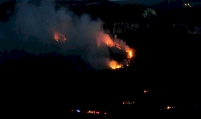 Karabük'te orman yangını