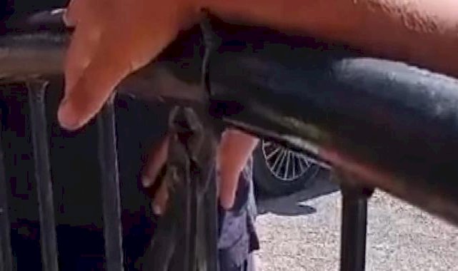 Mersin'deki çocuğun bileğine korkuluk teli saplandı