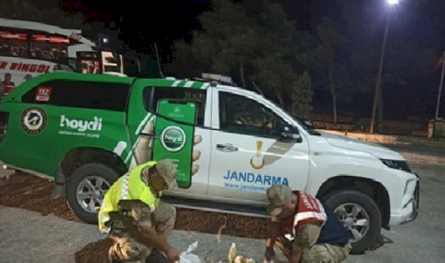 Şanlıurfa'da yaralı 4 ceylan yavrusu ele geçirildi