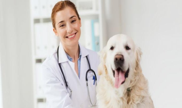 Tüm dünyada her yıl 59 bin kişinin hayatını kaybettiği kuduz önlenebiliyor